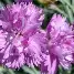 开元棋牌真人- 转会期萨克拉门托国王调整名单以备欧超杯里尔加时末段豪取连胜，这操作让人直呼：今晨上海久事豪取连胜